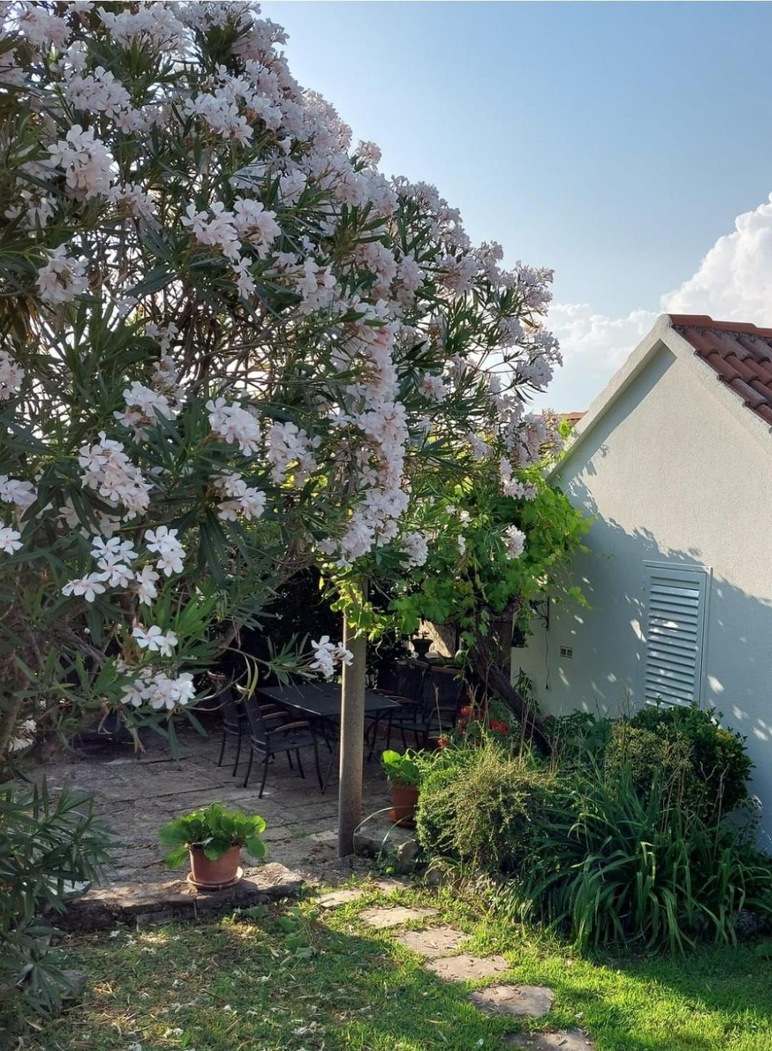 Gruda Holiday Home Sunrise מראה חיצוני תמונה